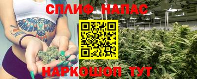 крисы Можга