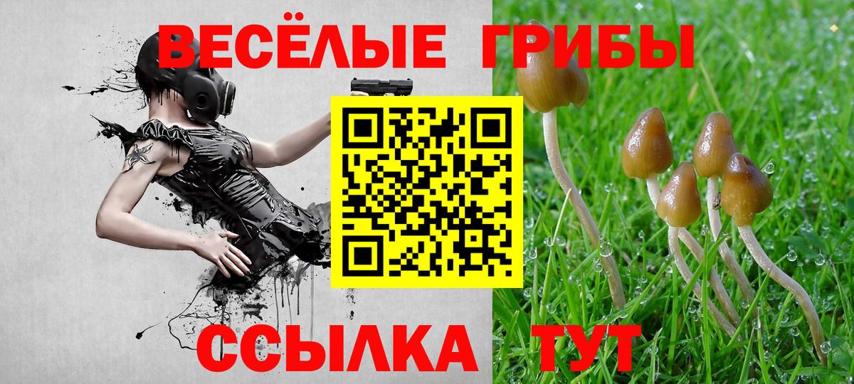 Псилоцибиновые грибы Cubensis Феодосия